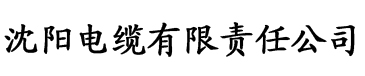 丫丫影视电缆厂logo